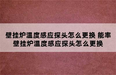 壁挂炉温度感应探头怎么更换 能率壁挂炉温度感应探头怎么更换